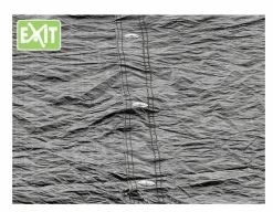 Housse De Protection Ronde Pour Trampoline Exit 427 Cm -Jouets D'extérieur afdekhoes exit 3 1